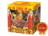 Красивая жизнь Фейерверк купить в Кирове Кировской области | kirovkirovskaya.salutsklad.ru