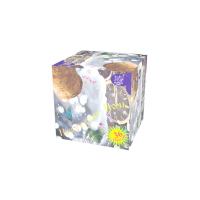 Новогодняя ночь Салют купить в Кирове Кировской области | kirovkirovskaya.salutsklad.ru