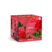 Пионы Салют купить в Кирове Кировской области | kirovkirovskaya.salutsklad.ru