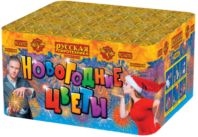 Новогодние цветы Фейерверк купить в Кирове Кировской области | kirovkirovskaya.salutsklad.ru