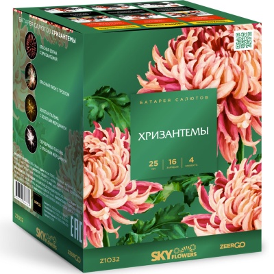 Хризантемы Фейерверк купить в Кирове Кировской области | kirovkirovskaya.salutsklad.ru
