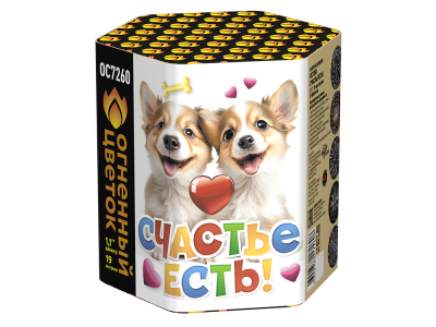 Счастье есть! Салют купить в Кирове Кировской области | kirovkirovskaya.salutsklad.ru